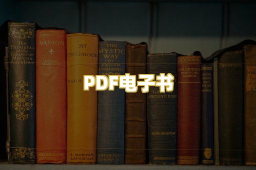 PDF电子书